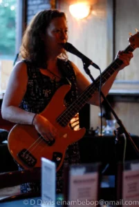 Tone Dogs, Seaprog 2013, Columbia City Theater Front Room, 29 June, 2013. Amy Denio