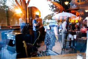 Tone Dogs, Seaprog 2013, Columbia City Theater Front Room, 29 June, 2013. L-R: Fred Chalenor, Amy Denio