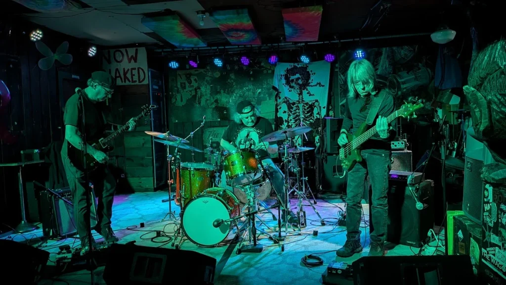 Flame Tree live in 2026